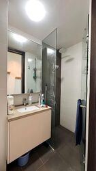 The Lilium (D19), Condominium #572693741